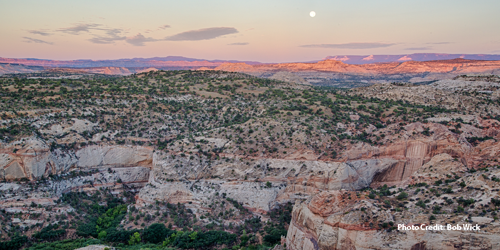 Protect Bears Ears and Grand Staircase-Escalante! - Monuments for All