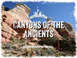Canyons-of-the-Ancients