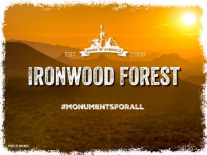 Ironwood-Forest