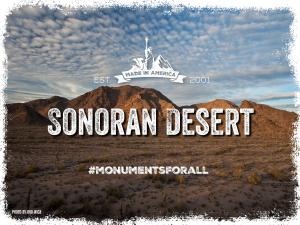 Sonoran-Desert